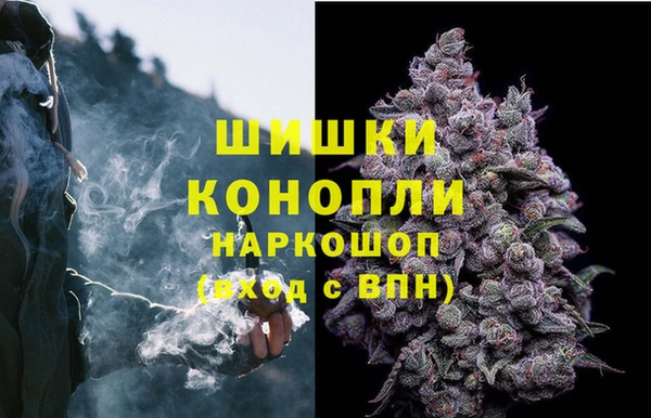 марихуана Тавда
