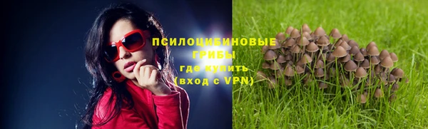 марихуана Тавда