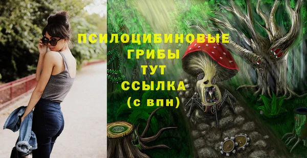 марихуана Сясьстрой