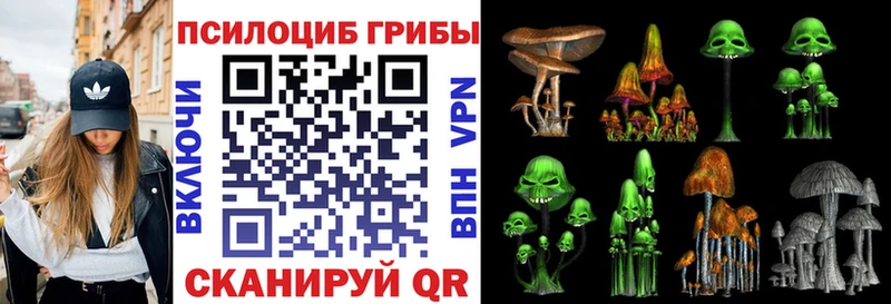 гидра как войти  Щучье  Псилоцибиновые грибы Psilocybe 